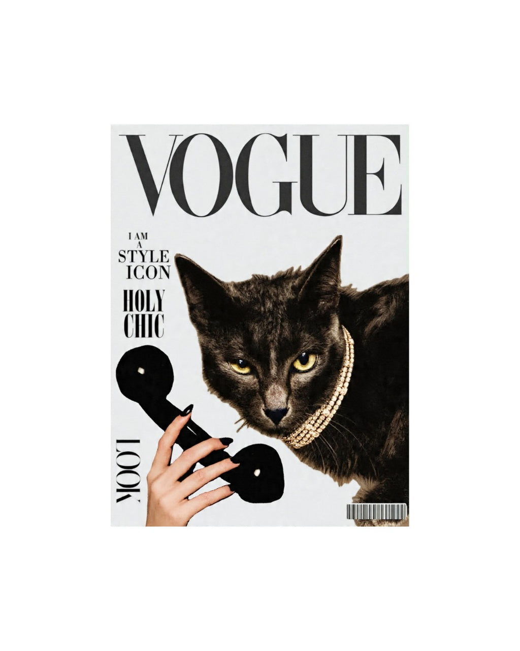 Holy Chic: Feline Cover Star