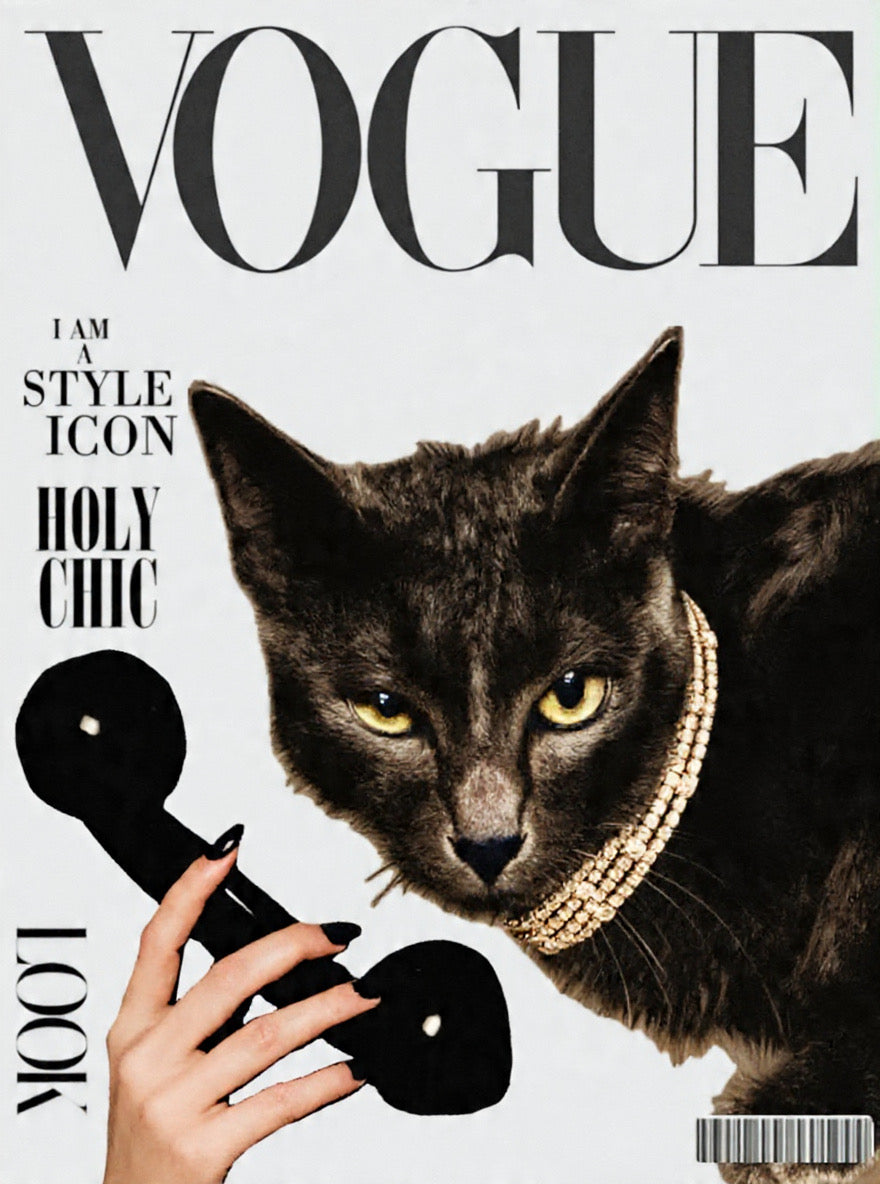 Holy Chic: Feline Cover Star