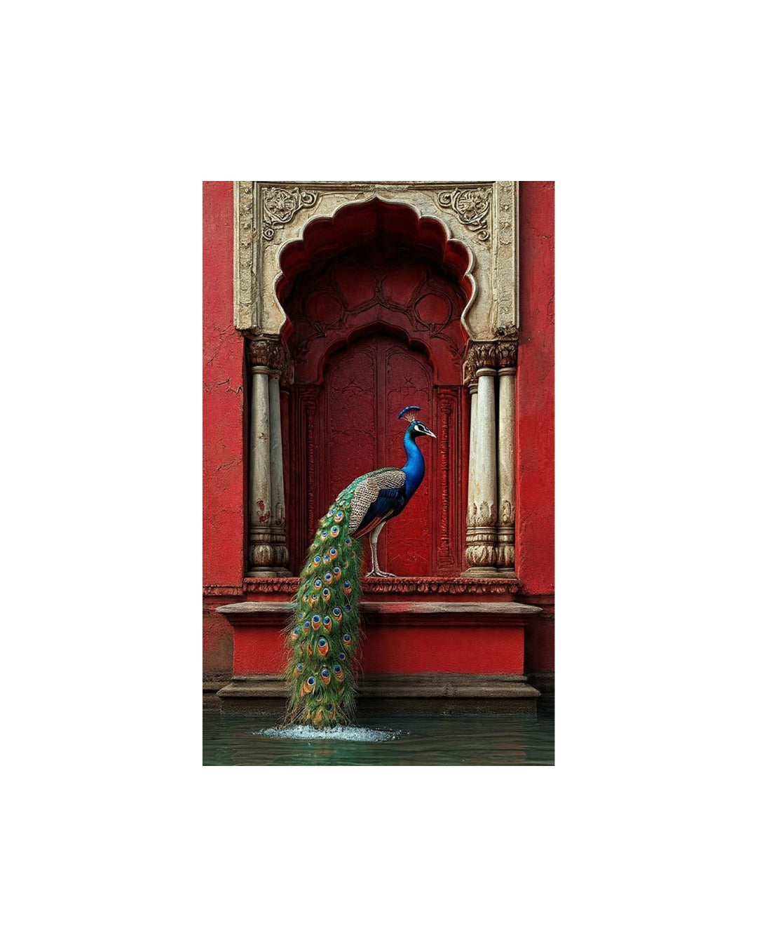 Royal Watch: Peacock at the Red Arch